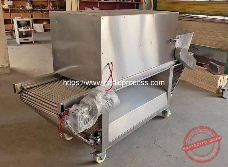 Automatic-Garlic-Peeling-Machine-for-Argentina-Customer
